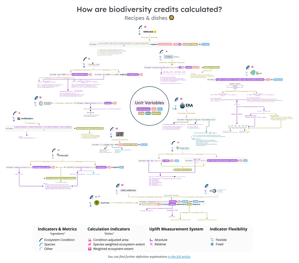 A Miro Board with a standardized step-by-step credit calculation walkthrough for 13 biodiversity credit schemes. image