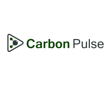 Carbon Pulse image