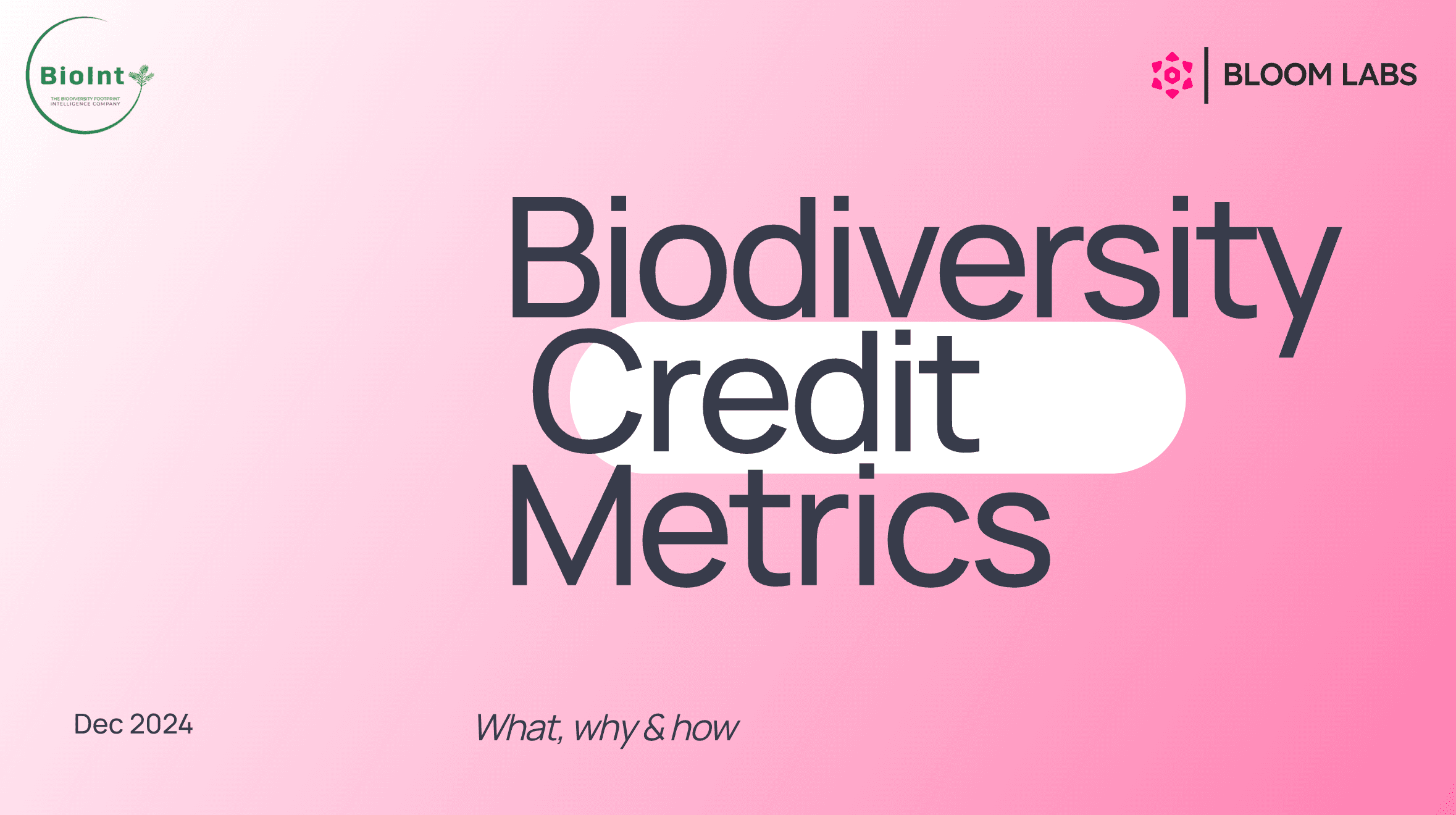 Access to the webinar recording on biodiversity credit metrics, together with the slides - a snapshot of the space in one hour. image